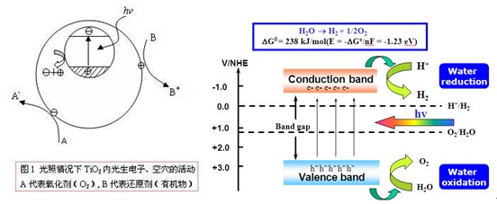 二氧化鈦光催化反應原理圖