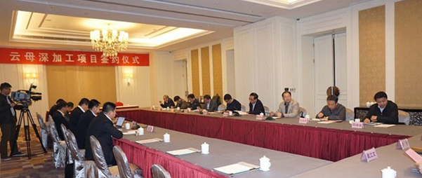 安徽六安年產(chǎn)10萬(wàn)噸云母深加工產(chǎn)品項目簽約