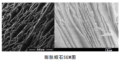 中國粉體技術(shù)網(wǎng) 膨脹蛭石SEM圖