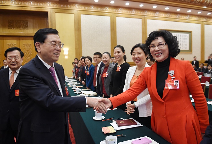 人大代表陳愛(ài)蓮再度建議:從戰略高度重視和促進(jìn)中國鎂產(chǎn)業(yè)健康發(fā)展