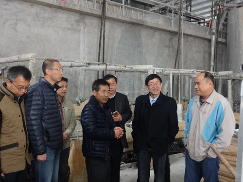 技術(shù)改造促進(jìn)恩平“中國納米碳酸鈣產(chǎn)業(yè)基地”轉型升級