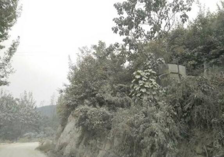 無(wú)視大氣污染防治法 南召鈣粉廠(chǎng)工業(yè)揚塵污染嚴重