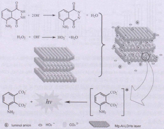 鎂鋁碳酸根水滑石催化魯米諾-過(guò)氧化氫化學(xué)發(fā)光體系的反應機理