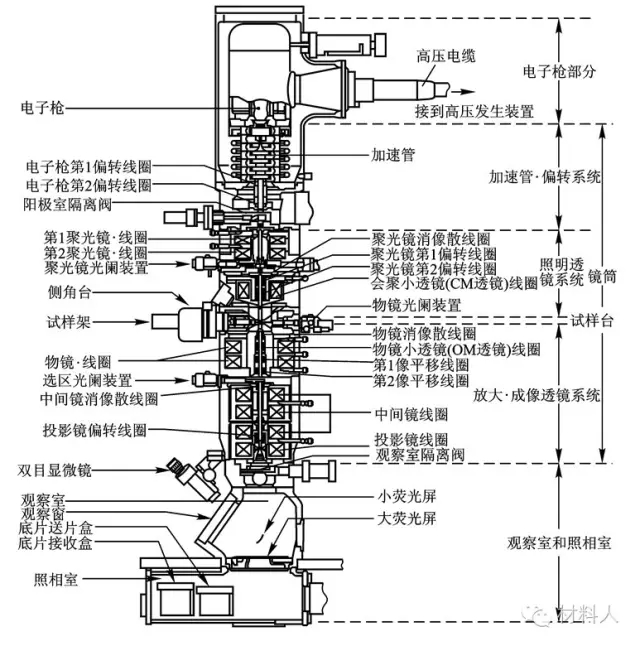 透射電子顯微鏡的剖面結構