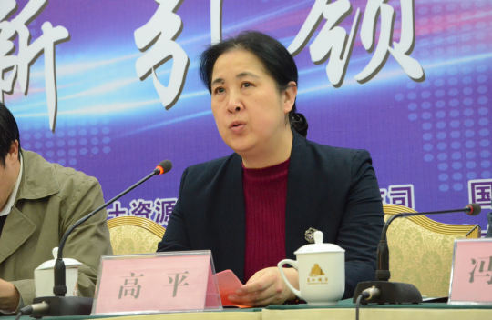 國土資源部科技與國際合作司高平副司長(cháng) 中國粉體技術(shù)網(wǎng)
