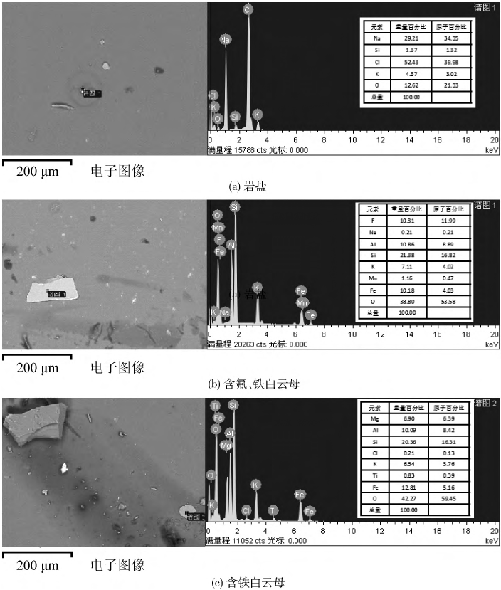 圖3塊狀石英中巖鹽及云母類(lèi)礦物EMPA-SEI、EDS分析圖譜