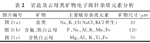 表2 巖鹽及云母類(lèi)礦物電子探針雜質(zhì)元素分析