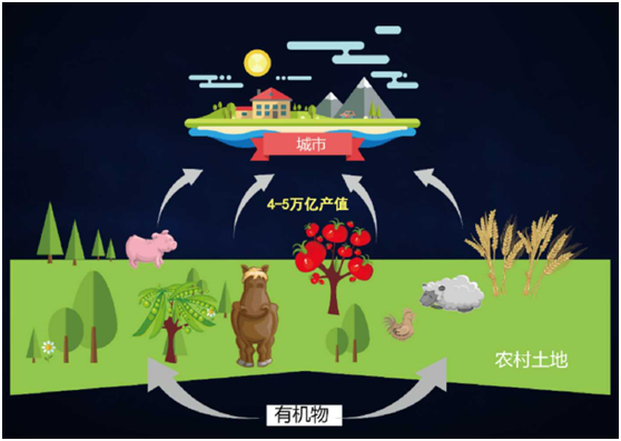 薛濤：固廢產(chǎn)業(yè)年度盤(pán)點(diǎn)