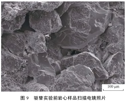 驅替實(shí)驗前巖心樣品掃描電鏡照片