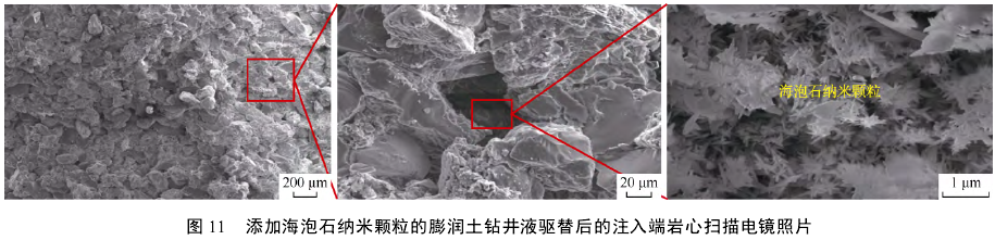 添加海泡石納米顆粒的膨潤土鉆井液驅替后的注入端巖心掃描電鏡照片