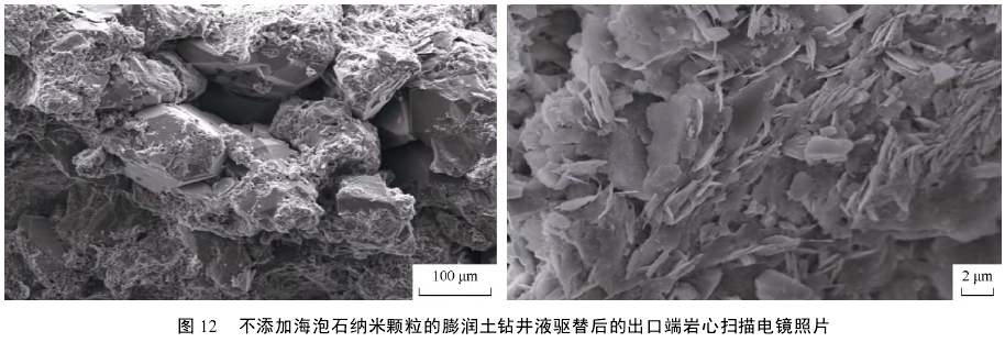 不添加海泡石納米顆粒的膨潤土鉆井液驅替后的出口端巖心掃描電鏡照片