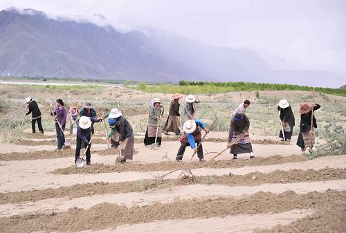 發(fā)布《西藏生態(tài)安全屏障保護與建設工程（2008-2014年）建設成效評估》