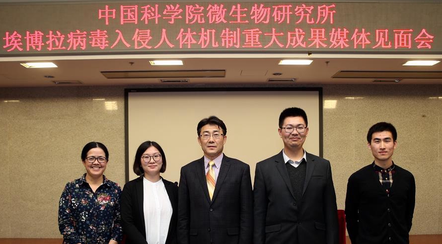中科院學(xué)者揭示了埃博拉病毒入侵人體細胞模式