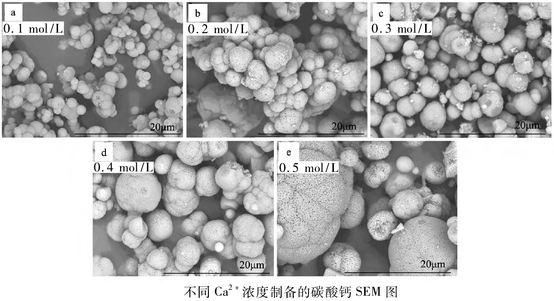 碳化工藝對制備球霞石型食品級碳酸鈣的影響