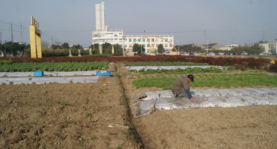 密友集團董事長(cháng)吳建明為保障員工用水健康引進(jìn)VWA細胞功能水