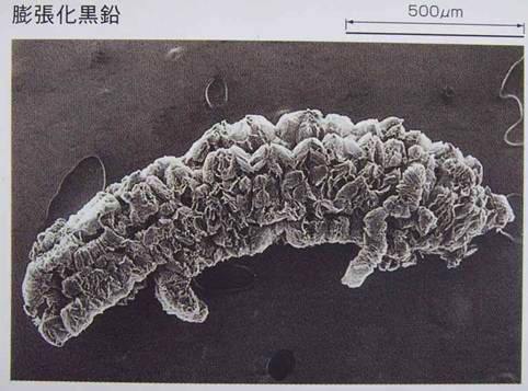 膨脹石墨