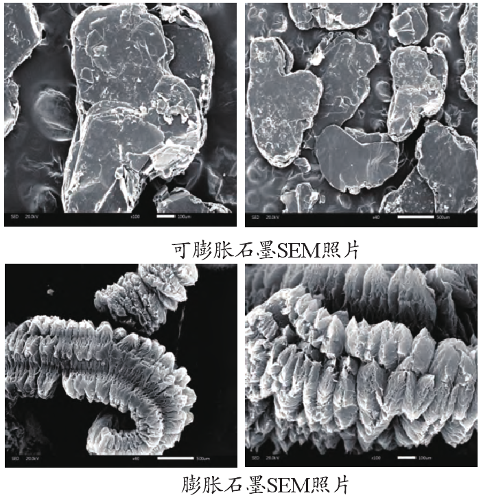 圖6 膨脹石墨掃描電鏡SEM照片