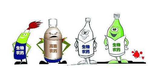 針狀超微細硅藻土因其具有較強的吸著(zhù)性，極易粘附于害蟲(chóng)體表，銳利的針狀邊緣刺人害蟲(chóng)體內，吸收害蟲(chóng)體內大量的水分，達到除害蟲(chóng)的效果。