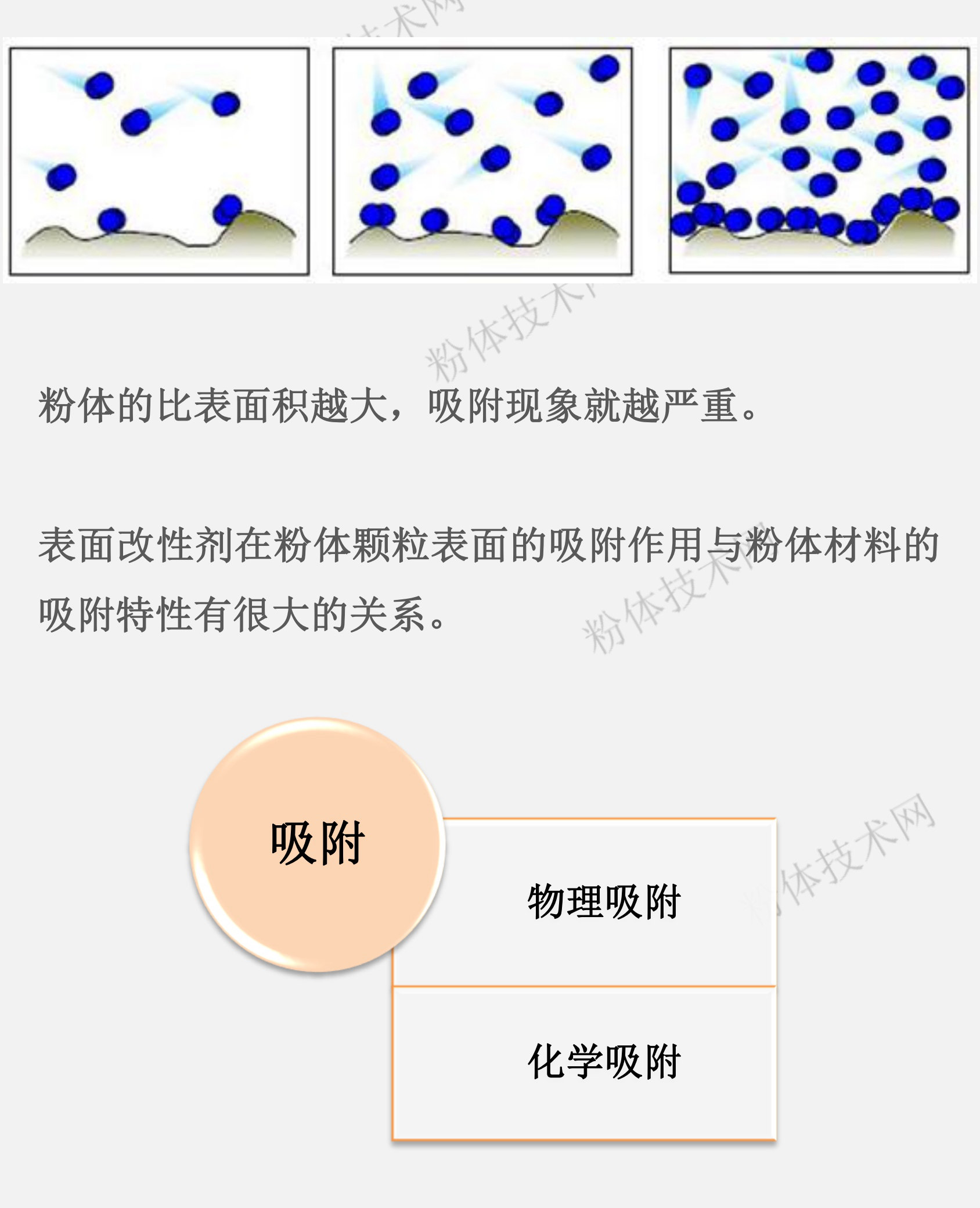 什么是粉體的表面吸附特性？