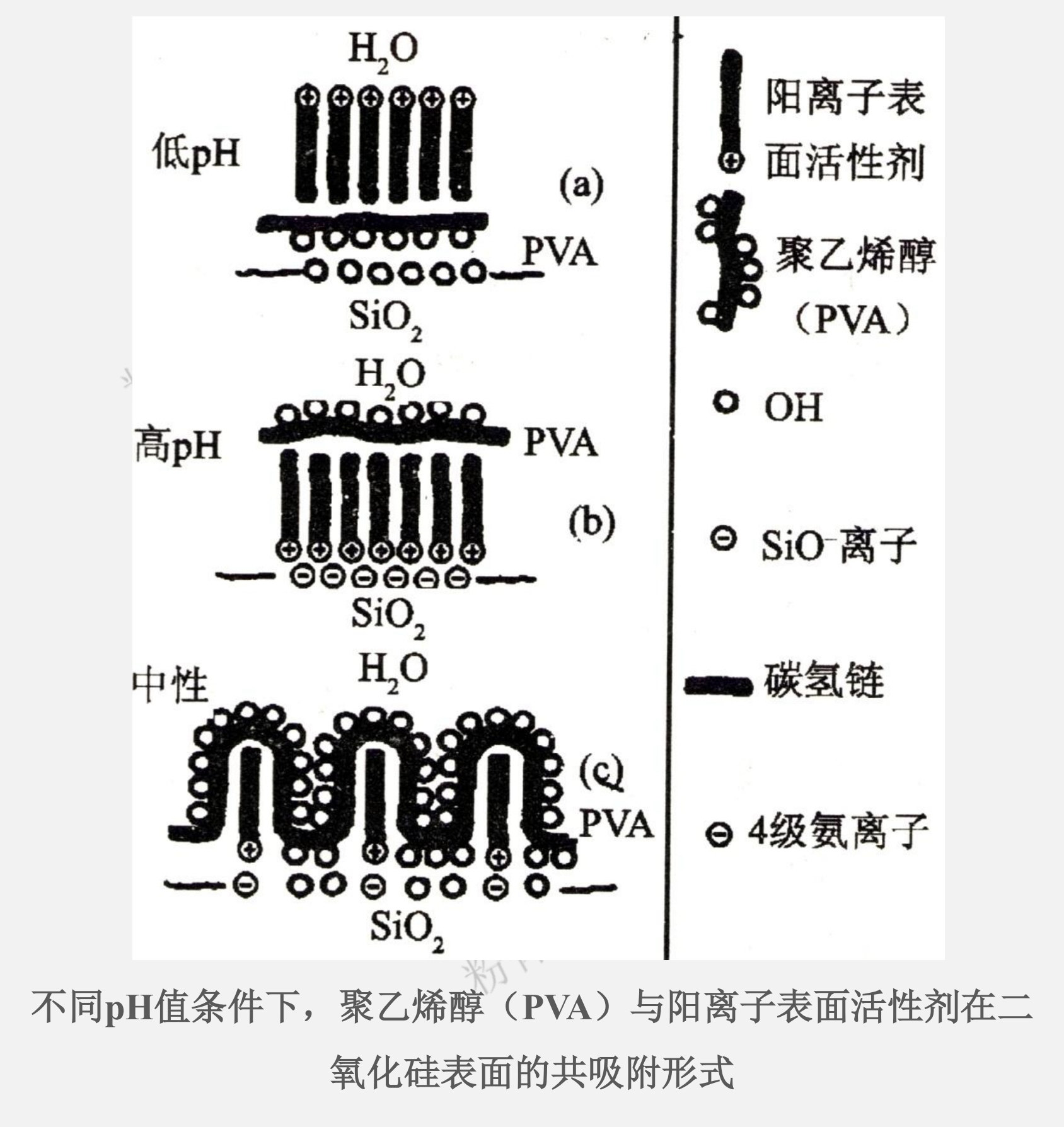 不同pH值條件下，聚乙烯醇（PVA）與陽(yáng)離子表面活性劑在二氧化硅表面的共吸附形式