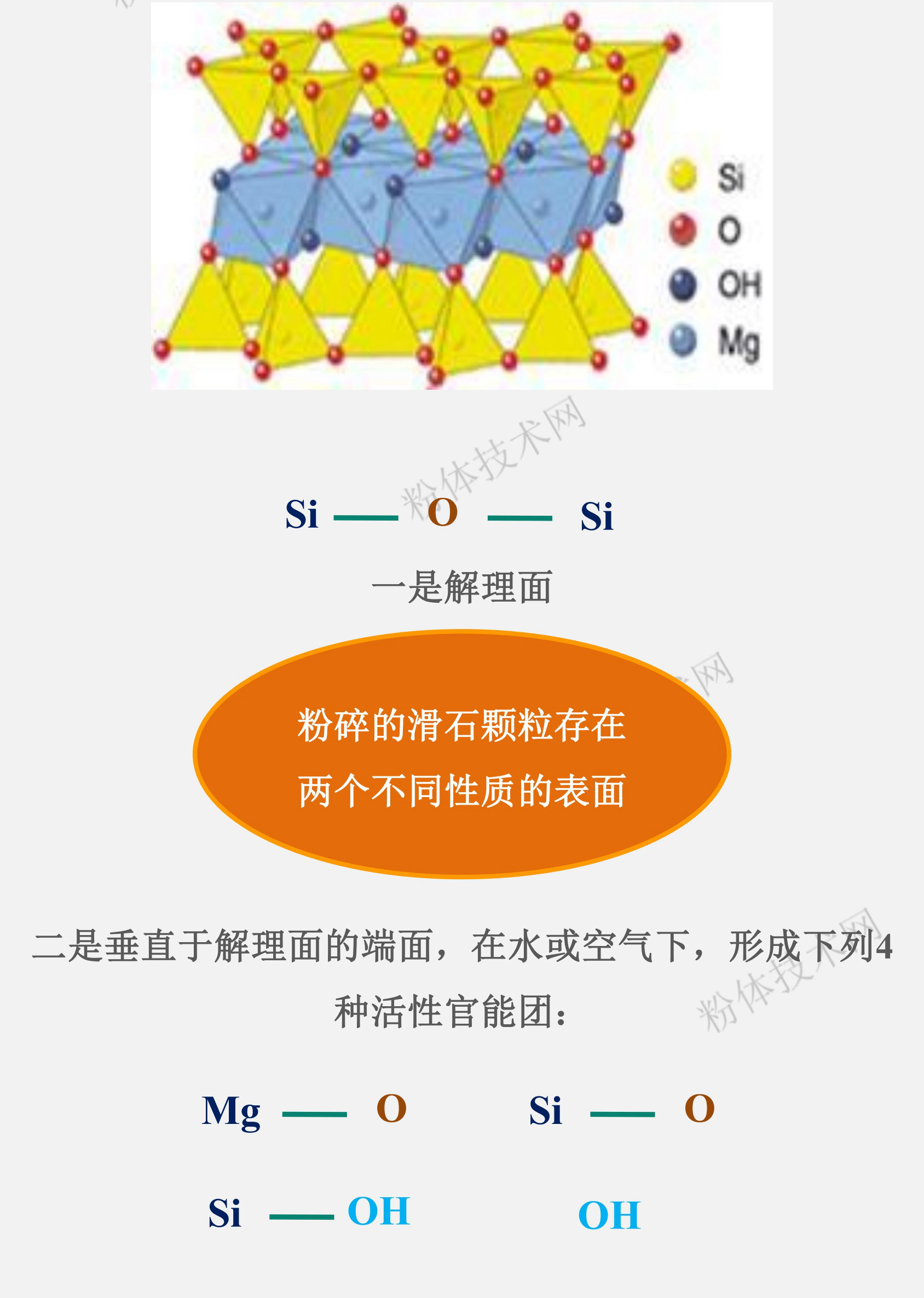 滑石的表面官能團