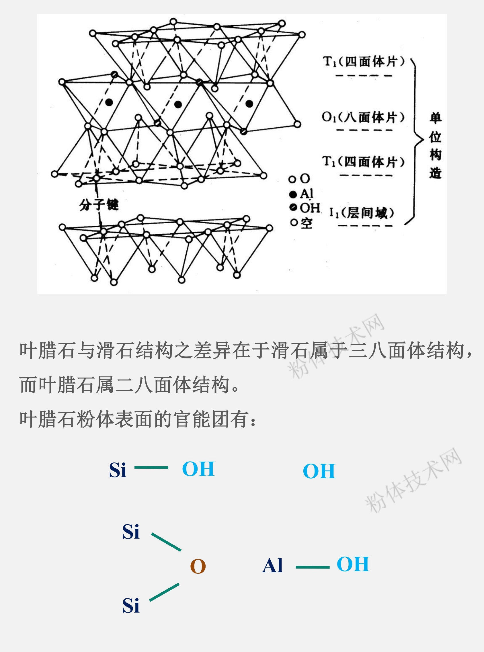 葉臘石的表面官能團