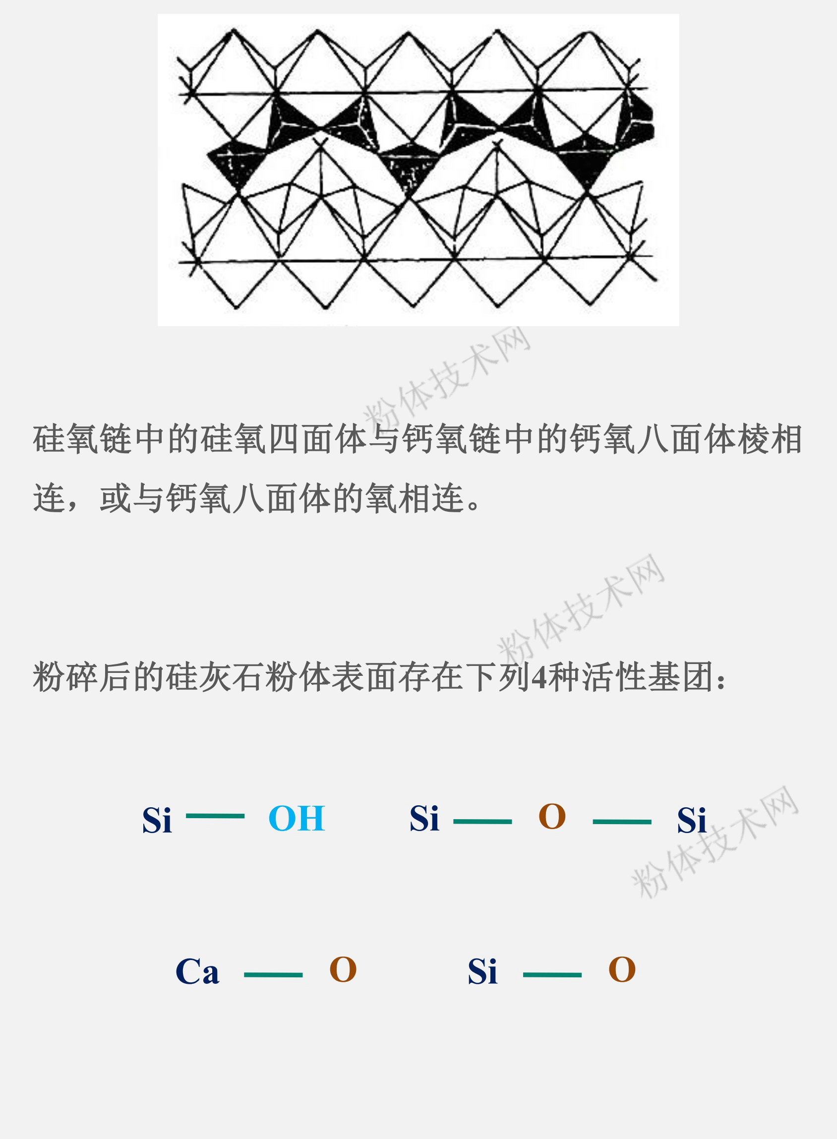 硅灰石的表面官能團