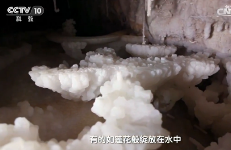 地理中國：碳酸鈣遇到稀鹽酸居然不冒泡？
