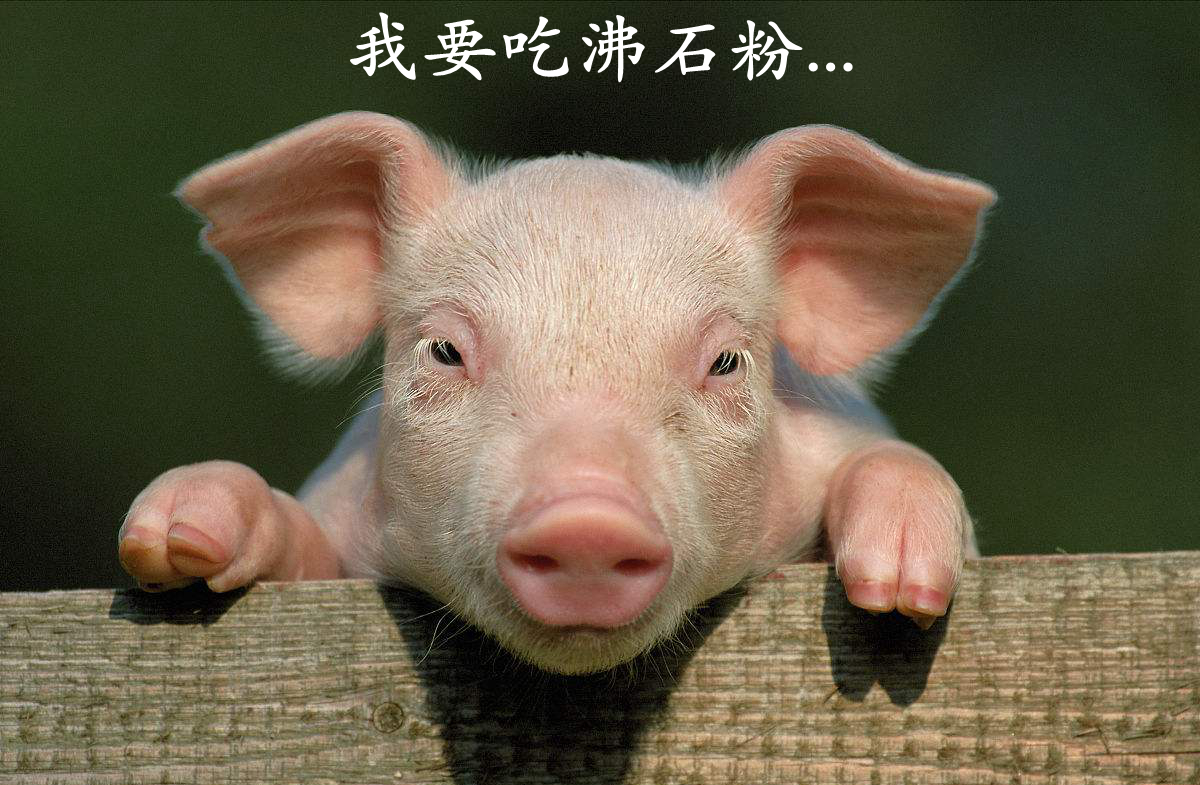周巖民教授：高價(jià)值非金屬礦在飼料中的技術(shù)要求及產(chǎn)業(yè)現狀！ 