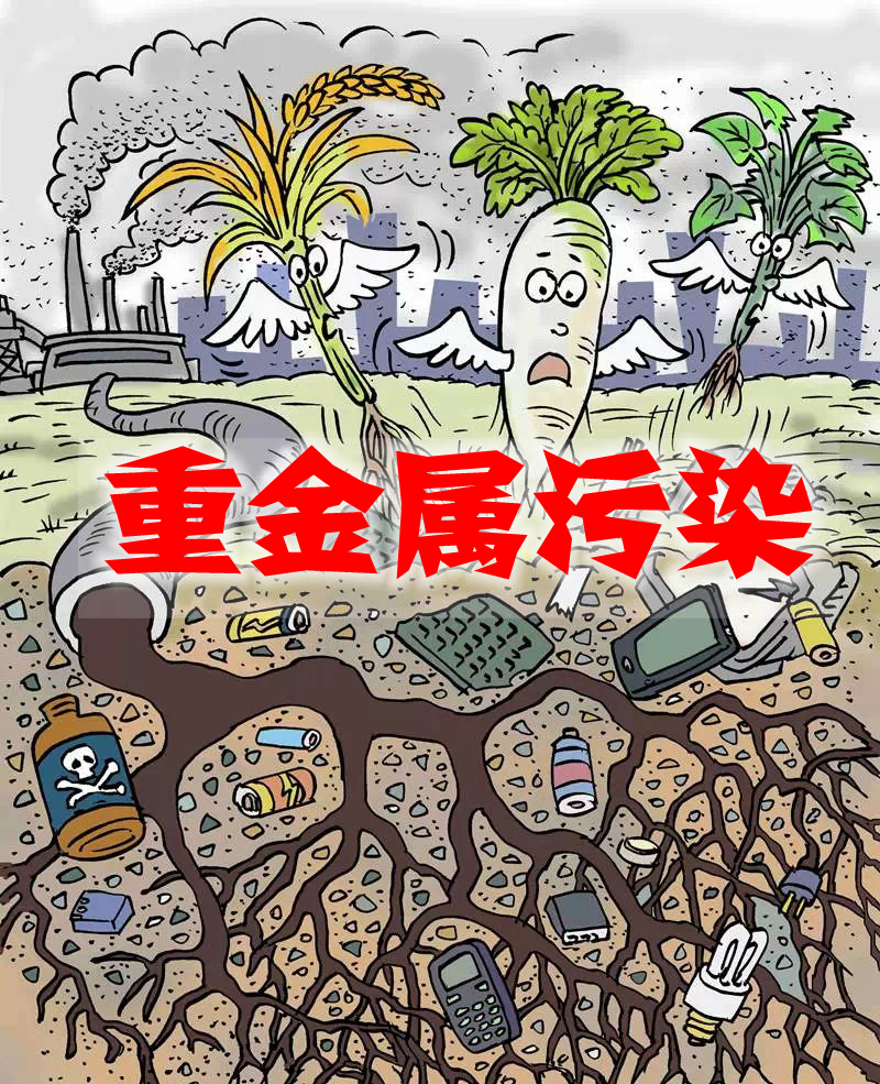 9月會(huì )議專(zhuān)題