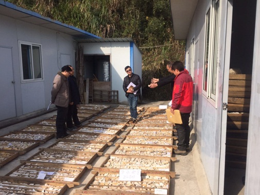 江西遂川探獲玻璃用石英巖4.22億噸，98%高純礦物高達1.56億噸