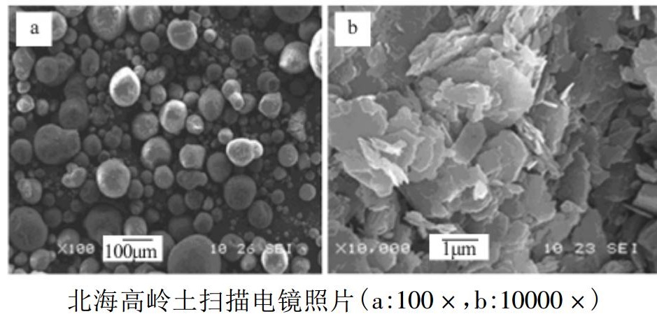廣西北海高嶺土工藝礦物學(xué)分析及化學(xué)漂白方法!