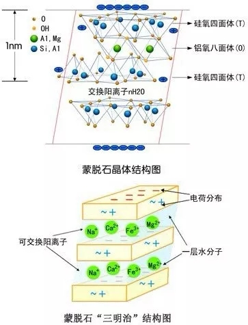 蒙脫石 制備 分類(lèi) 特性
