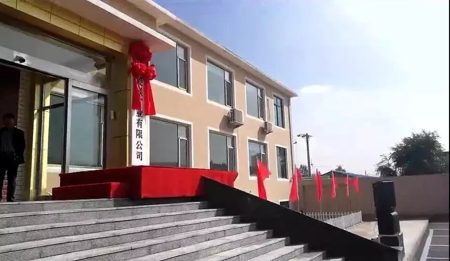 菱鎂礦 遼寧 計劃經(jīng)濟 