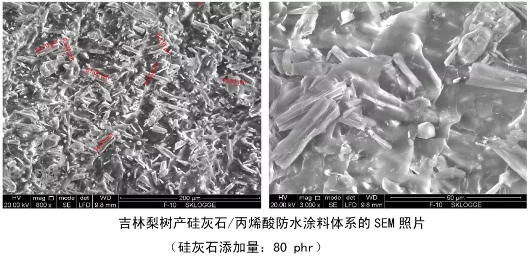 硫酸鋇 硅灰石 伊利石 防水涂料