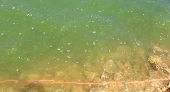 海泡石 有機污染物治理