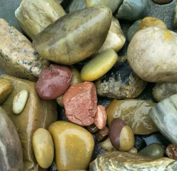 硅質(zhì)玉石 識別 鑒賞