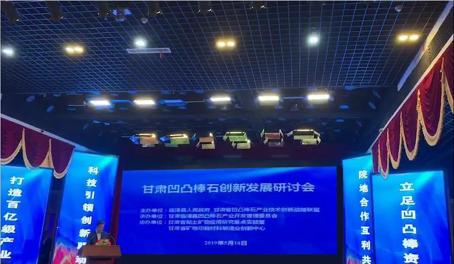 甘肅凹凸棒石創(chuàng  )新發(fā)展研討會(huì )在臨澤隆重召開(kāi)！