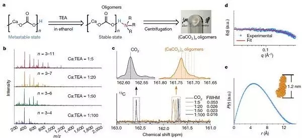 浙大最新Nature:碳酸鈣變“形”記