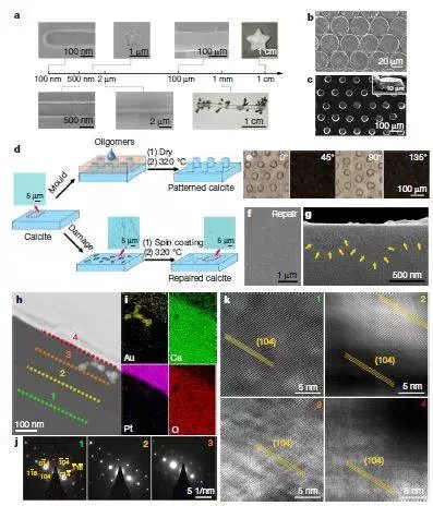 浙大最新Nature:碳酸鈣變“形”記