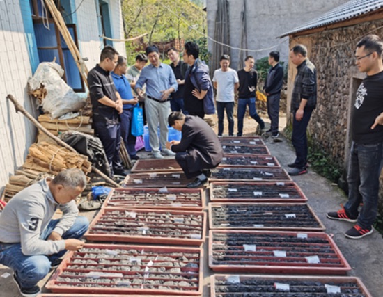 資源量800萬(wàn)噸，江西上饒市廣豐區楊村礦區黑滑石礦巖里礦段勘探項目通過(guò)驗收