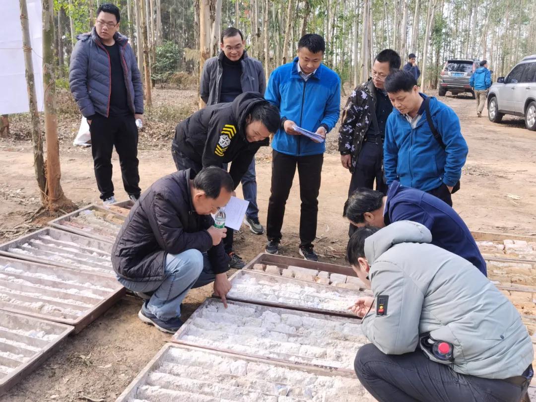 廣西合浦縣探獲一處大型石英砂礦床