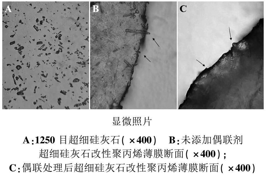 鋁酸酯偶聯(lián)劑改性硅灰石對聚丙烯性能的影響 　　 　　