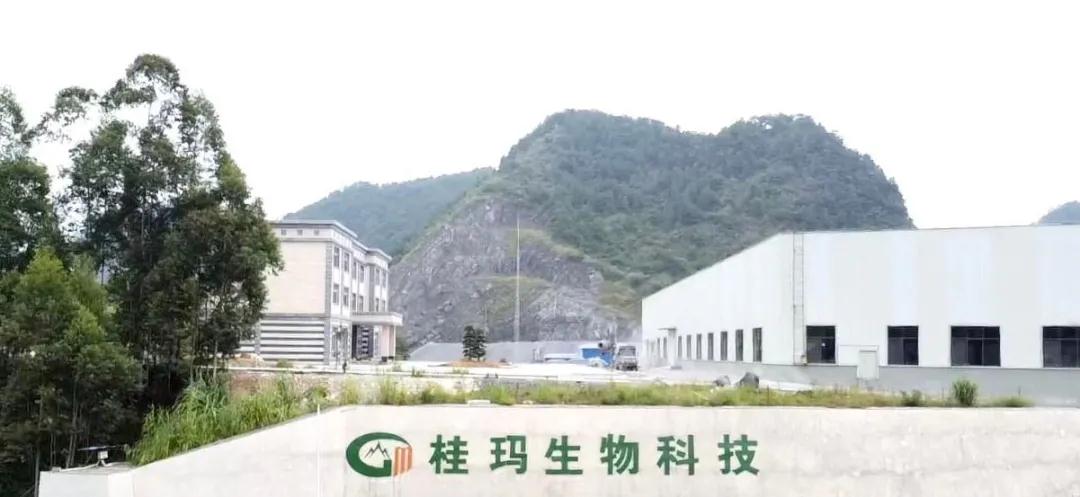 食品級重質(zhì)碳酸鈣供應——廣西桂瑪生物科技有限公司 　　 　　 　　