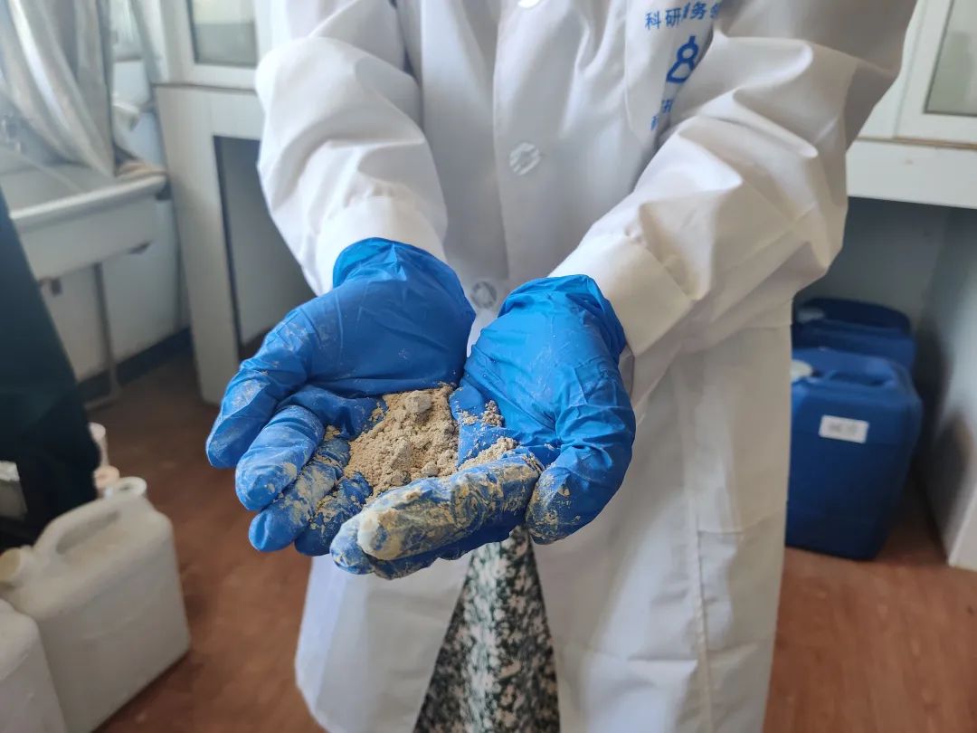 湘潭大學(xué)丁燕懷團隊開(kāi)發(fā)出海泡石止血材料 　　