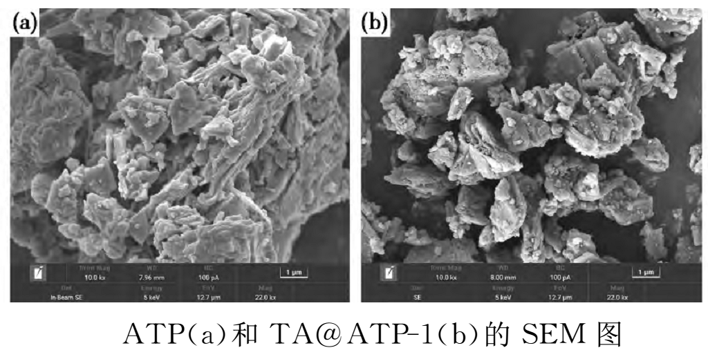 【技術(shù)】有機-無(wú)機改性三聚磷酸鋁防銹顏料的研究 　　