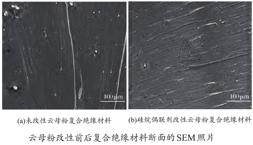 【技術(shù)】偶聯(lián)劑改性云母粉及其在復合絕緣材料的應用研究