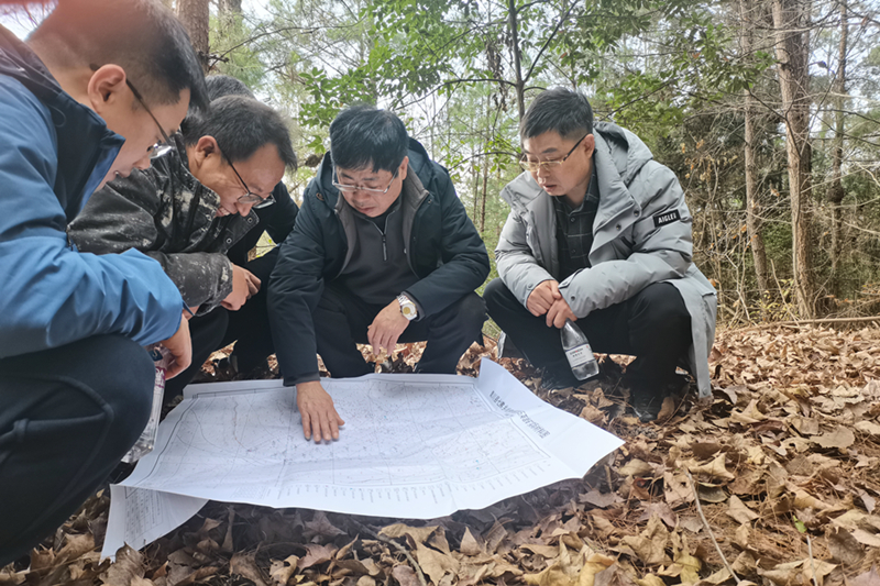 四川青川縣發(fā)現1處中型高純石英砂巖礦床！ 　　