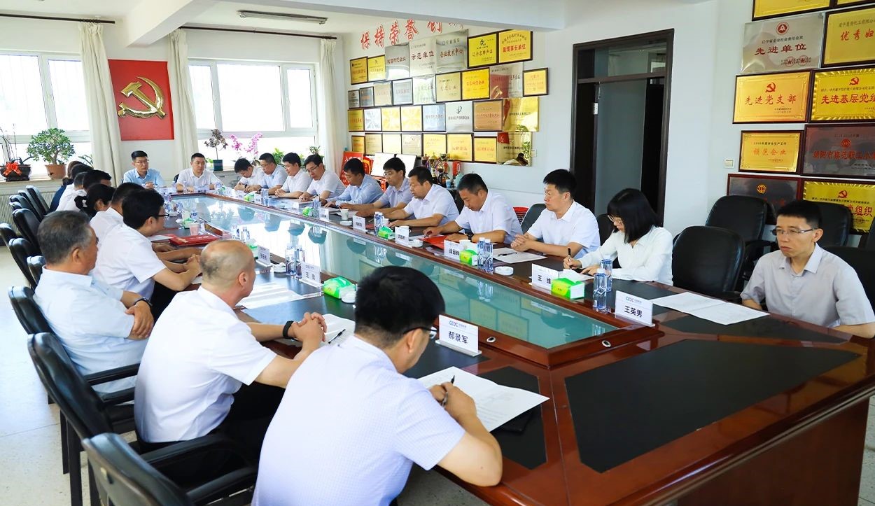央企出手，整合升級遼寧建平膨潤土產(chǎn)業(yè) 　　