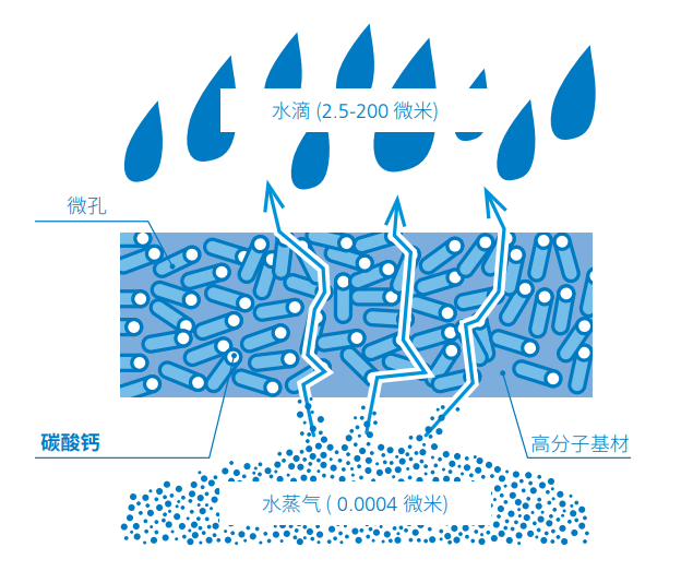 透氣膜用碳酸鈣質(zhì)量指標、技術(shù)問(wèn)題 　　
